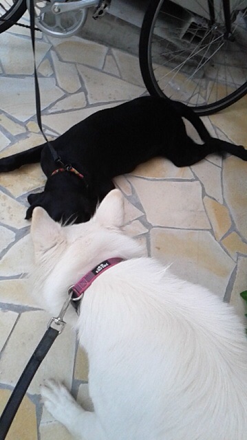 f:id:reeyan:20150923140858j:image