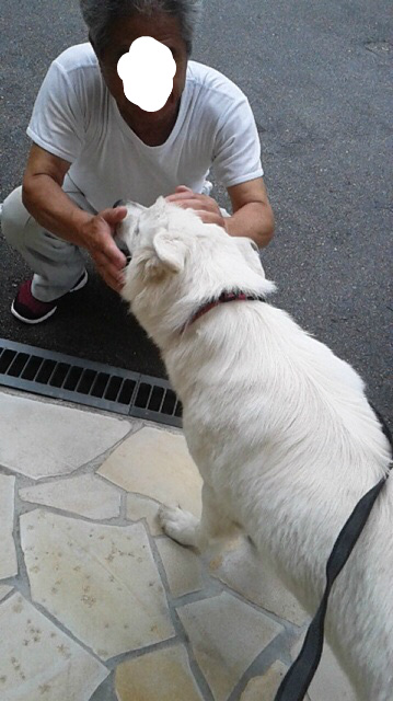 f:id:reeyan:20150923140900j:image