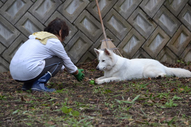 f:id:reeyan:20150925215826j:image