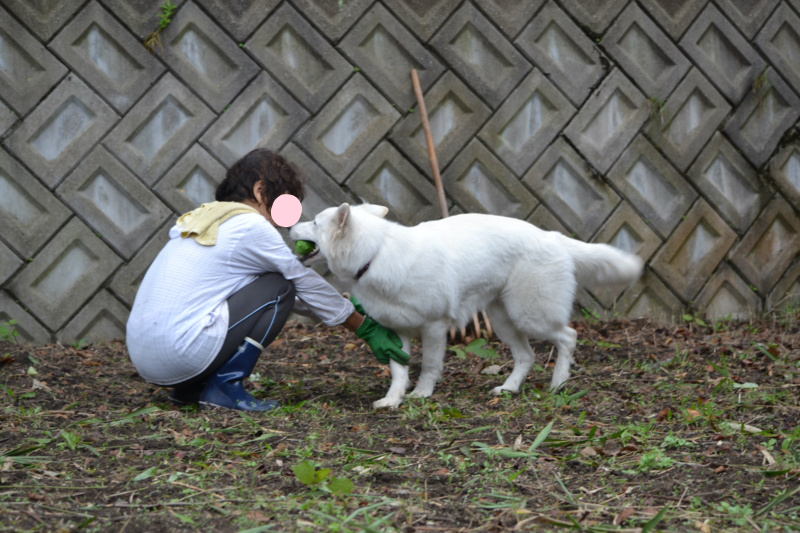 f:id:reeyan:20150925220656j:image