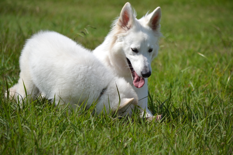 f:id:reeyan:20150927222903j:image