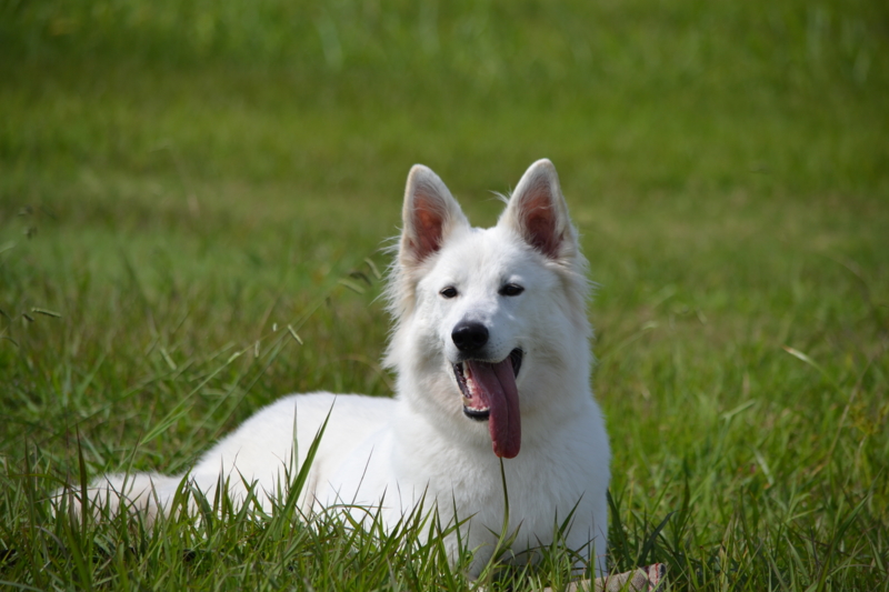 f:id:reeyan:20150927222927j:image