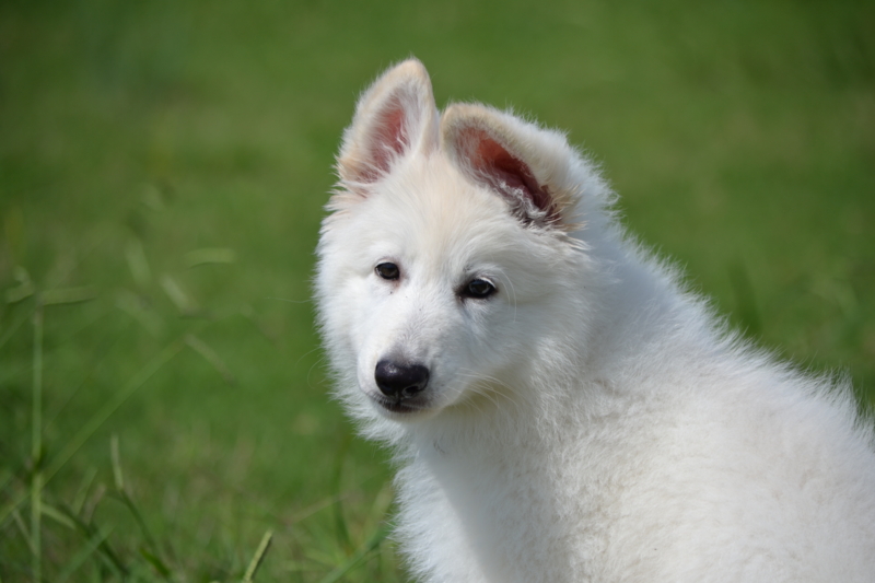 f:id:reeyan:20150927222950j:image