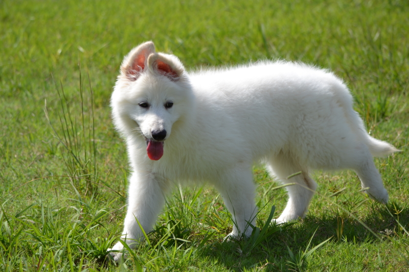 f:id:reeyan:20150927223037j:image