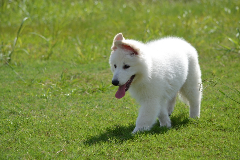 f:id:reeyan:20150927223512j:image