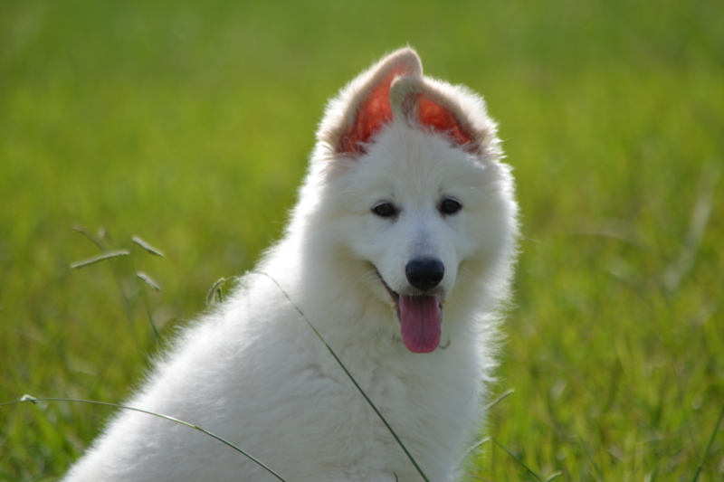 f:id:reeyan:20150927223536j:image