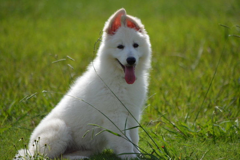 f:id:reeyan:20150927223622j:image