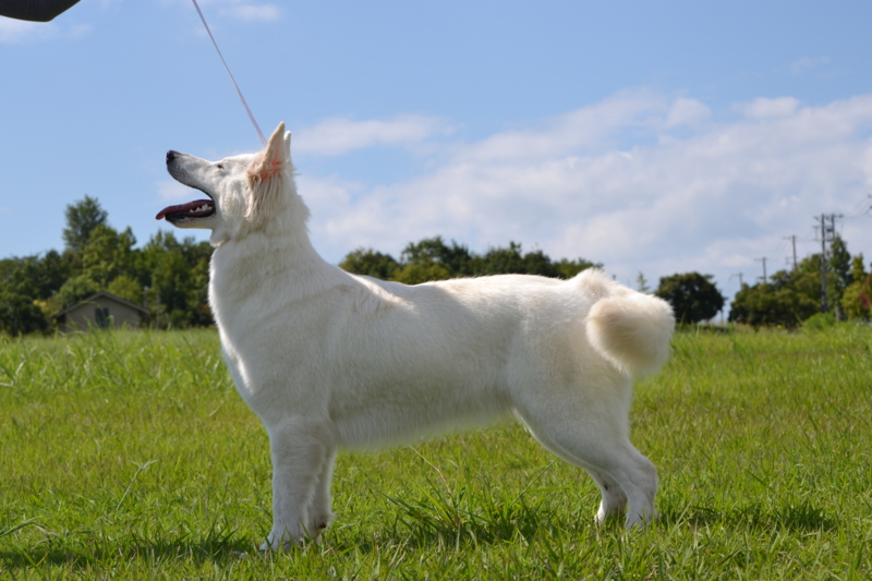 f:id:reeyan:20150927224148j:image