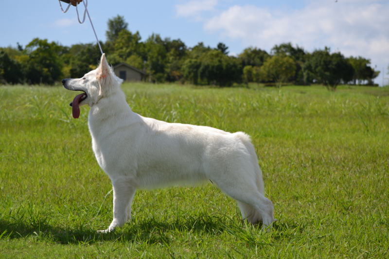 f:id:reeyan:20150927224211j:image