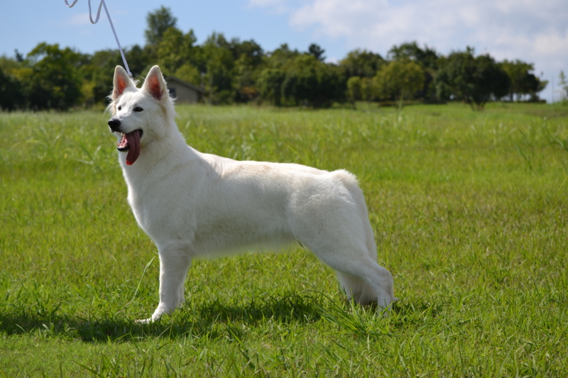 f:id:reeyan:20150927224234j:image