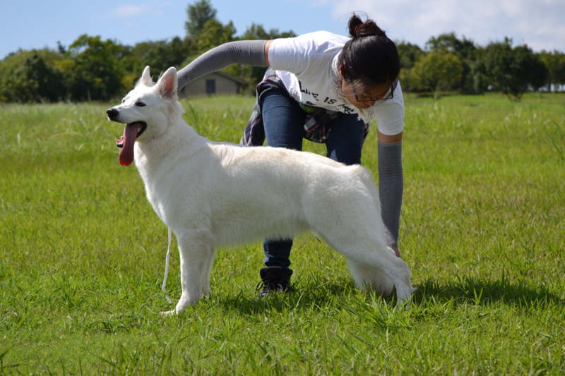 f:id:reeyan:20150927224301j:image