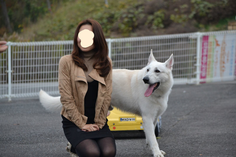 f:id:reeyan:20151122215438j:image
