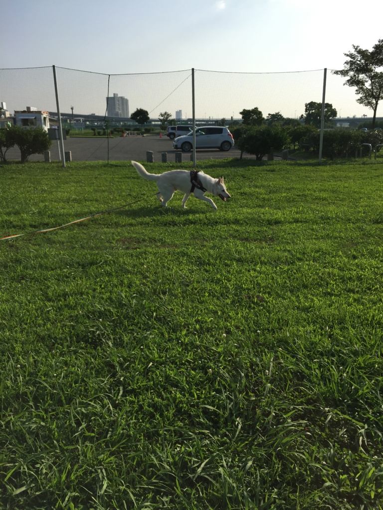 f:id:reeyan:20160719175505j:plain f:id:reeyan:20160719175505j:plain