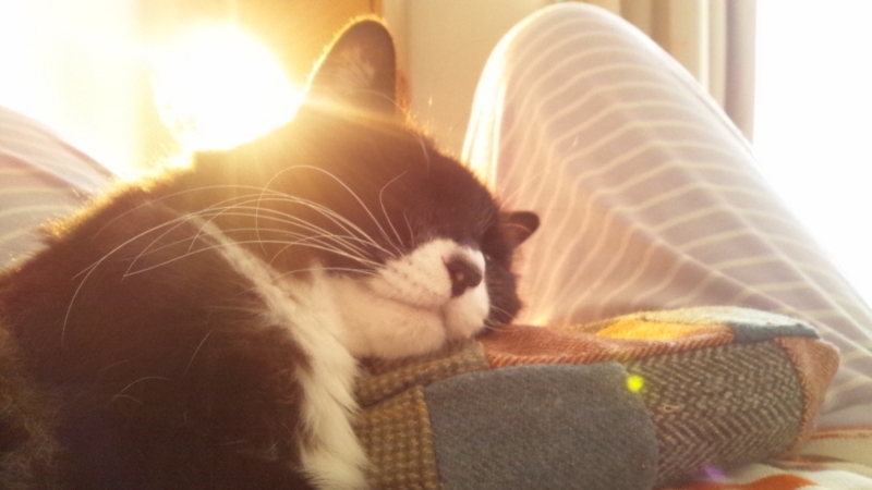 f:id:rei-tsuchiya:20140319133028j:plain