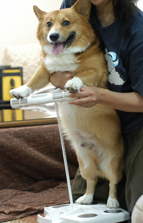 f:id:reikon:20050601091953j:image f:id:reikon:20050601091953j:image