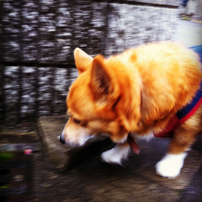 f:id:reikon:20111208110606j:image:w300 f:id:reikon:20111208110606j:image:w300