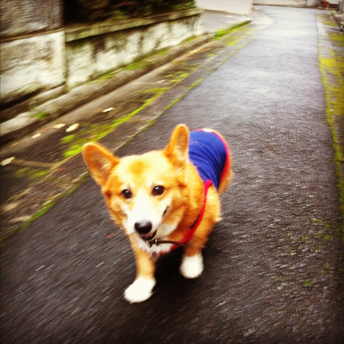 f:id:reikon:20111208110658j:image:w300 f:id:reikon:20111208110658j:image:w300