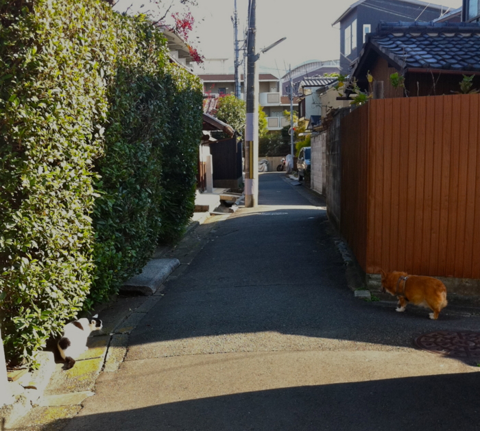 f:id:reikon:20111214115823j:image:w400