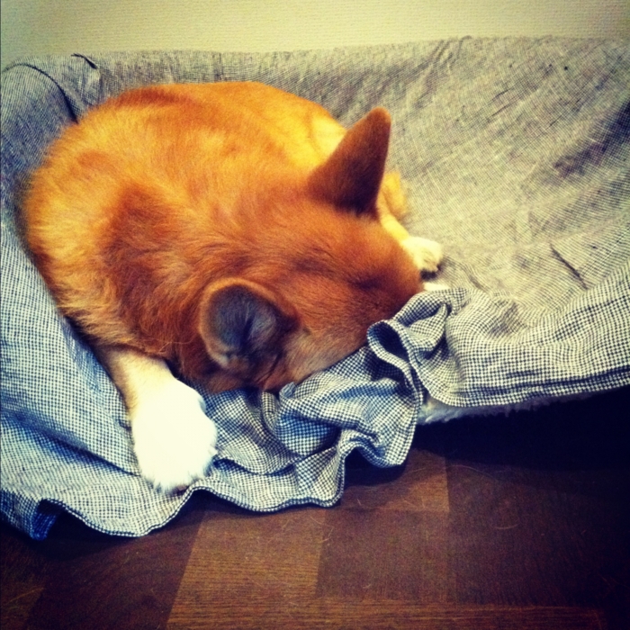 f:id:reikon:20111219004815j:image:w300