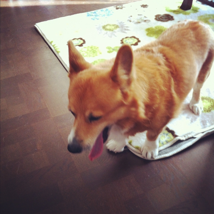 f:id:reikon:20111219232521j:image:w300 f:id:reikon:20111219232521j:image:w300