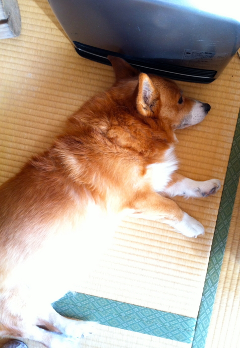 f:id:reikon:20111230122337j:image:w270