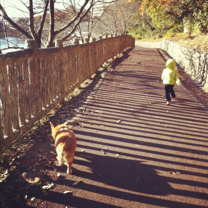 f:id:reikon:20111231125011j:image:w300