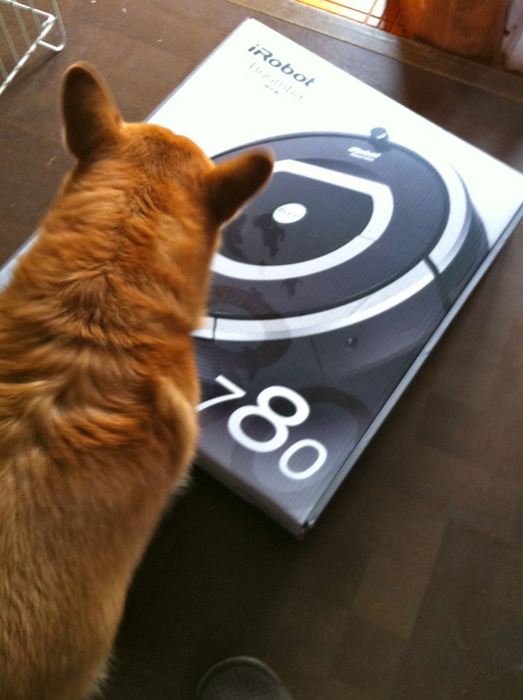 f:id:reikon:20120110142651j:image:w250 f:id:reikon:20120110142651j:image:w250