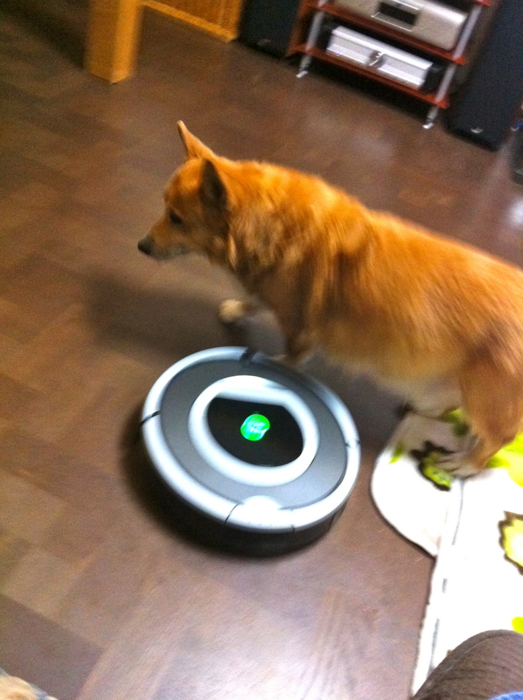 f:id:reikon:20120110201917j:image:w270 f:id:reikon:20120110201917j:image:w270