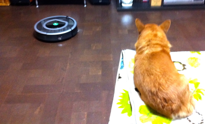 f:id:reikon:20120110202043j:image:w350 f:id:reikon:20120110202043j:image:w350