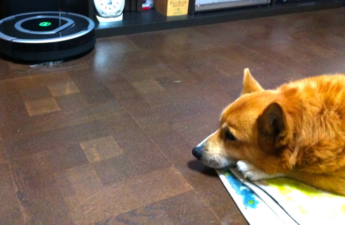 f:id:reikon:20120110202407j:image:w350 f:id:reikon:20120110202407j:image:w350