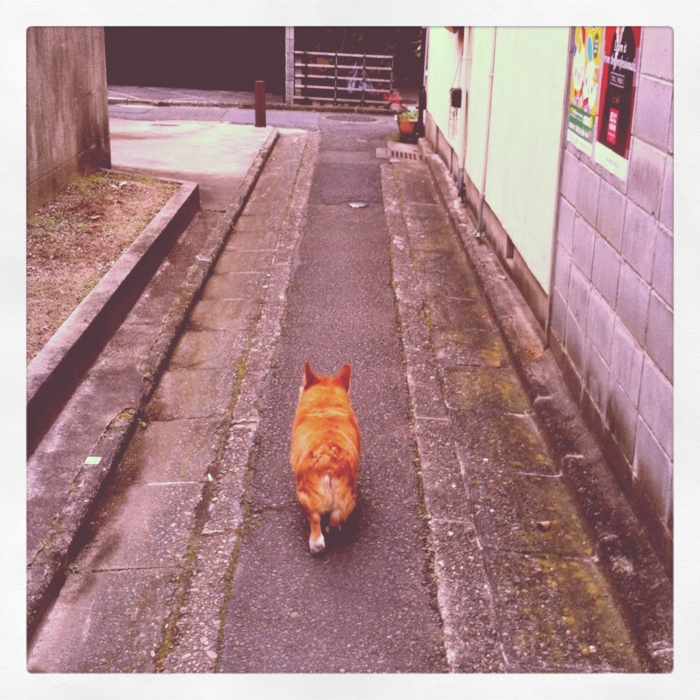 f:id:reikon:20120216152721j:image:w350 f:id:reikon:20120216152721j:image:w350