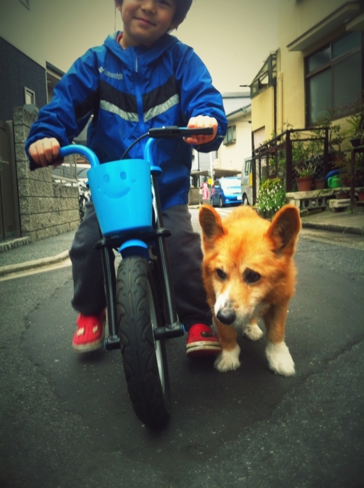 f:id:reikon:20130403014007j:plain f:id:reikon:20130403014007j:plain