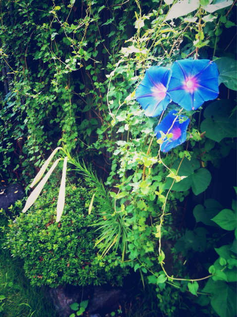 f:id:reikon:20130806104901j:plain f:id:reikon:20130806104901j:plain