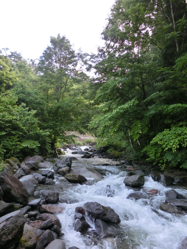 f:id:remember_the_trout:20130715063858j:plain f:id:remember_the_trout:20130715063858j:plain