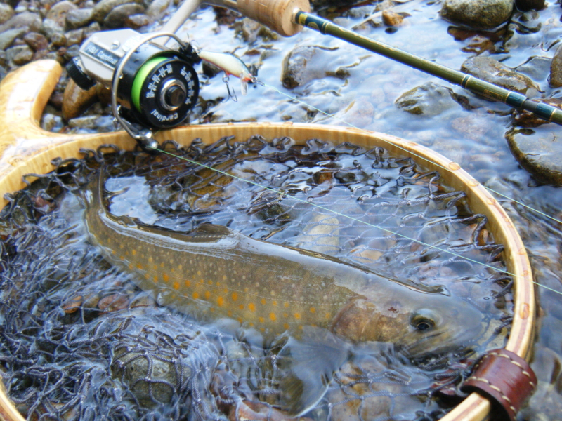f:id:remember_the_trout:20130818130243j:plain f:id:remember_the_trout:20130818130243j:plain