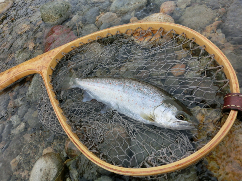 f:id:remember_the_trout:20150607062602j:plain f:id:remember_the_trout:20150607062602j:plain