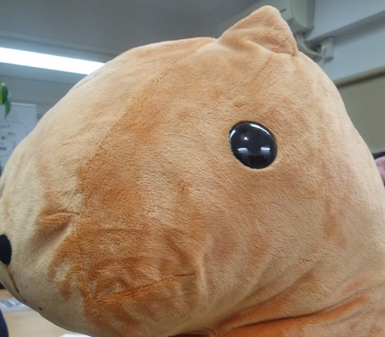 f:id:renya-mizuno:20160126160138j:plain