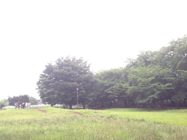 f:id:restart15515:20150616173531j:image f:id:restart15515:20150616173531j:image
