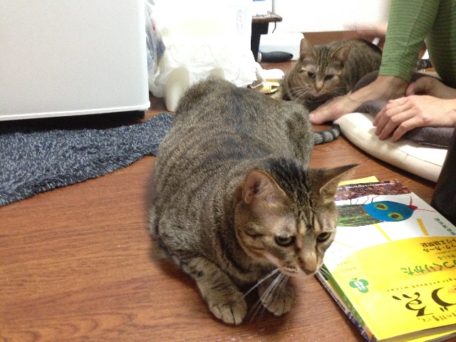 f:id:restart15515:20150627135058j:image f:id:restart15515:20150627135058j:image