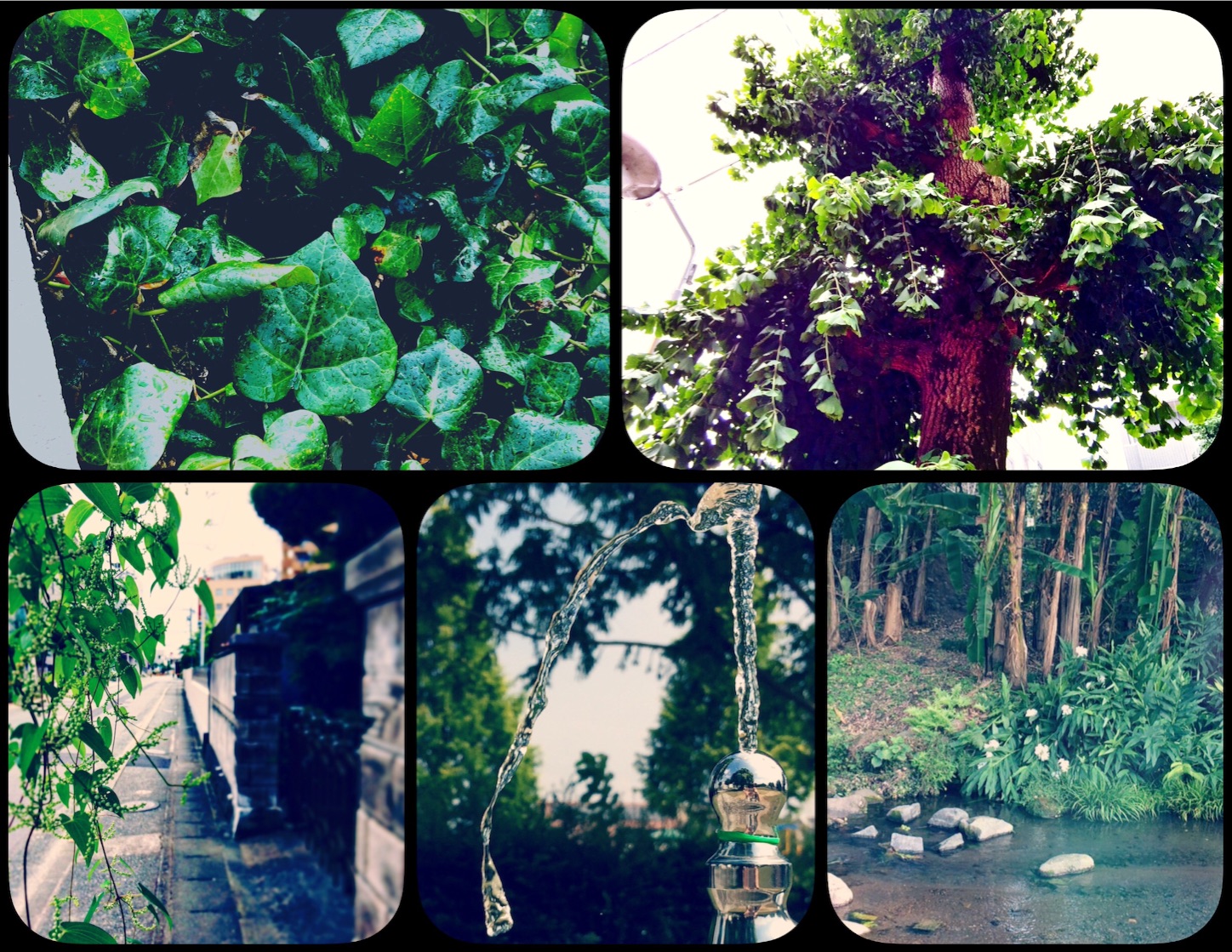 f:id:rexxpi:20150828114748j:image f:id:rexxpi:20150828114748j:image