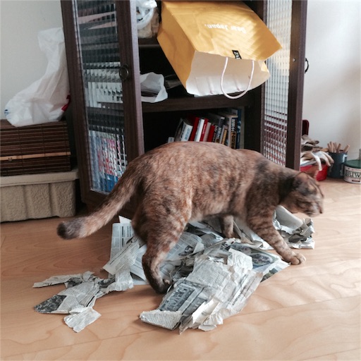 f:id:rezuteki-tsunatan-0909:20160625140343j:image