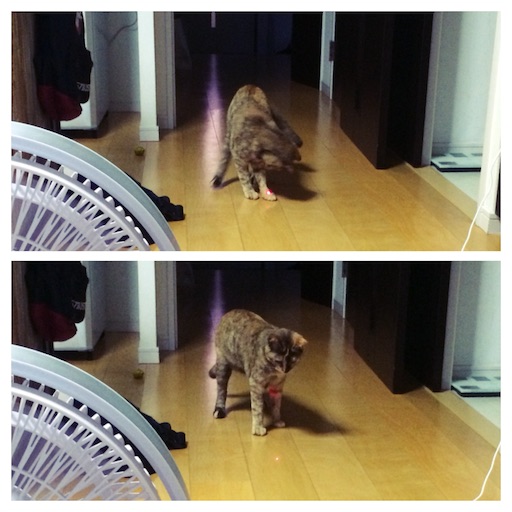 f:id:rezuteki-tsunatan-0909:20160719223516j:image