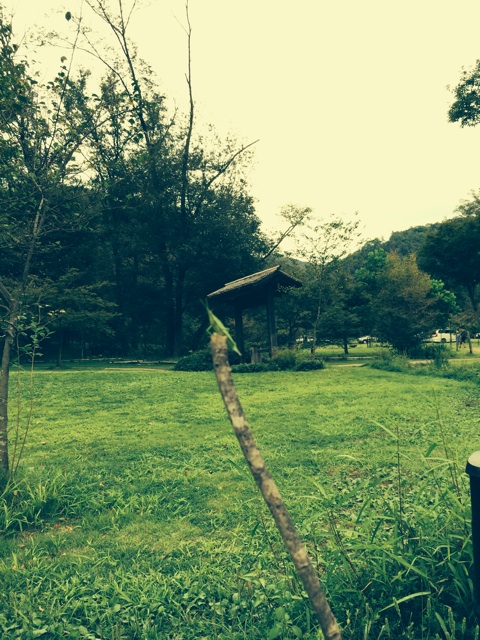 f:id:rhal:20140915211132j:plain f:id:rhal:20140915211132j:plain