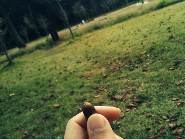 f:id:rhal:20140920211759j:plain f:id:rhal:20140920211759j:plain
