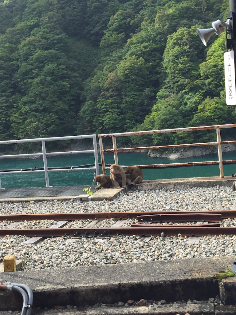 f:id:ricabanashi:20151003103222j:image f:id:ricabanashi:20151003103222j:image