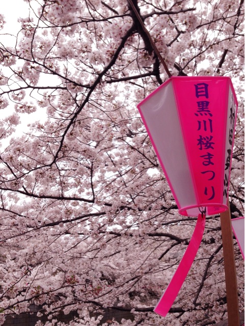 f:id:rie141:20150404201719j:plain f:id:rie141:20150404201719j:plain