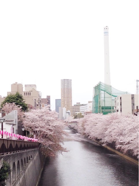f:id:rie141:20150404202103j:plain f:id:rie141:20150404202103j:plain