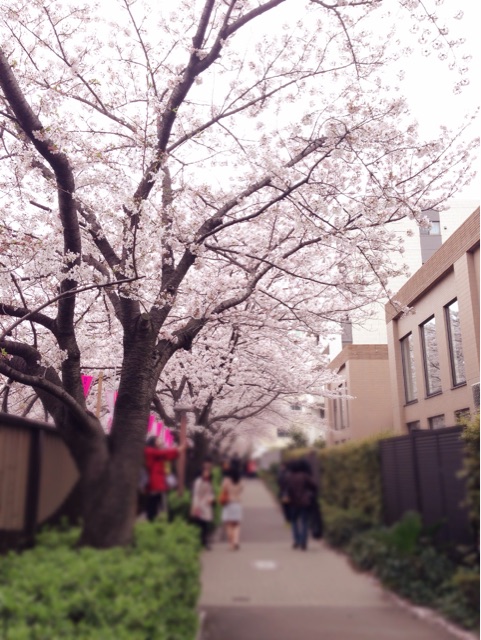 f:id:rie141:20150404202517j:plain f:id:rie141:20150404202517j:plain