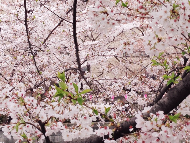 f:id:rie141:20150404202622j:plain f:id:rie141:20150404202622j:plain