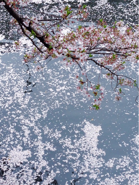 f:id:rie141:20150404202733j:plain f:id:rie141:20150404202733j:plain
